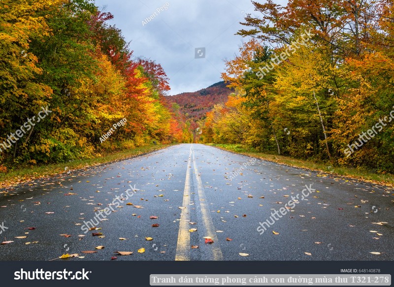 Tranh dán tường phong cảnh hồ thác, cây cối T321-460